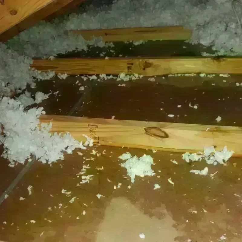 Attic Water Damage in Hamilton Worcester, MA